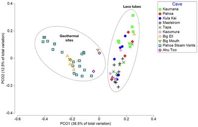 Islands Within Islands: Bacterial Phylogenetic Structure and Consortia in Hawaiian Lava Caves and Fumaroles